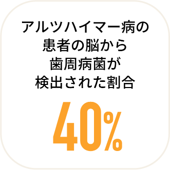 アルツハイマー病の患者の脳から歯周病菌が検出された割合 40%